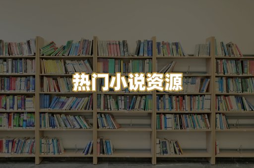 热门小说资源